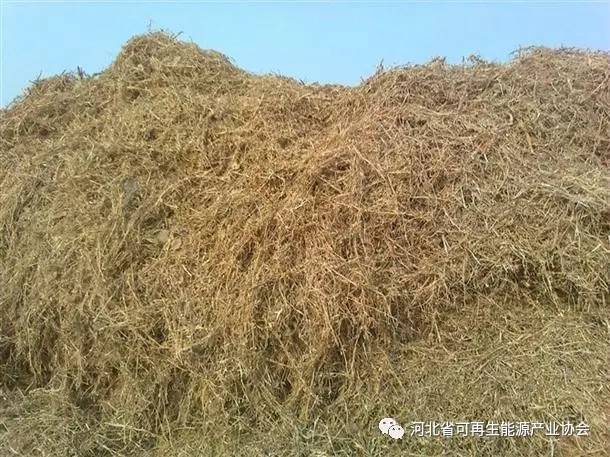 河北農作物秸稈綜合利用率突破95.6%，綠色循環助力鄉村振興